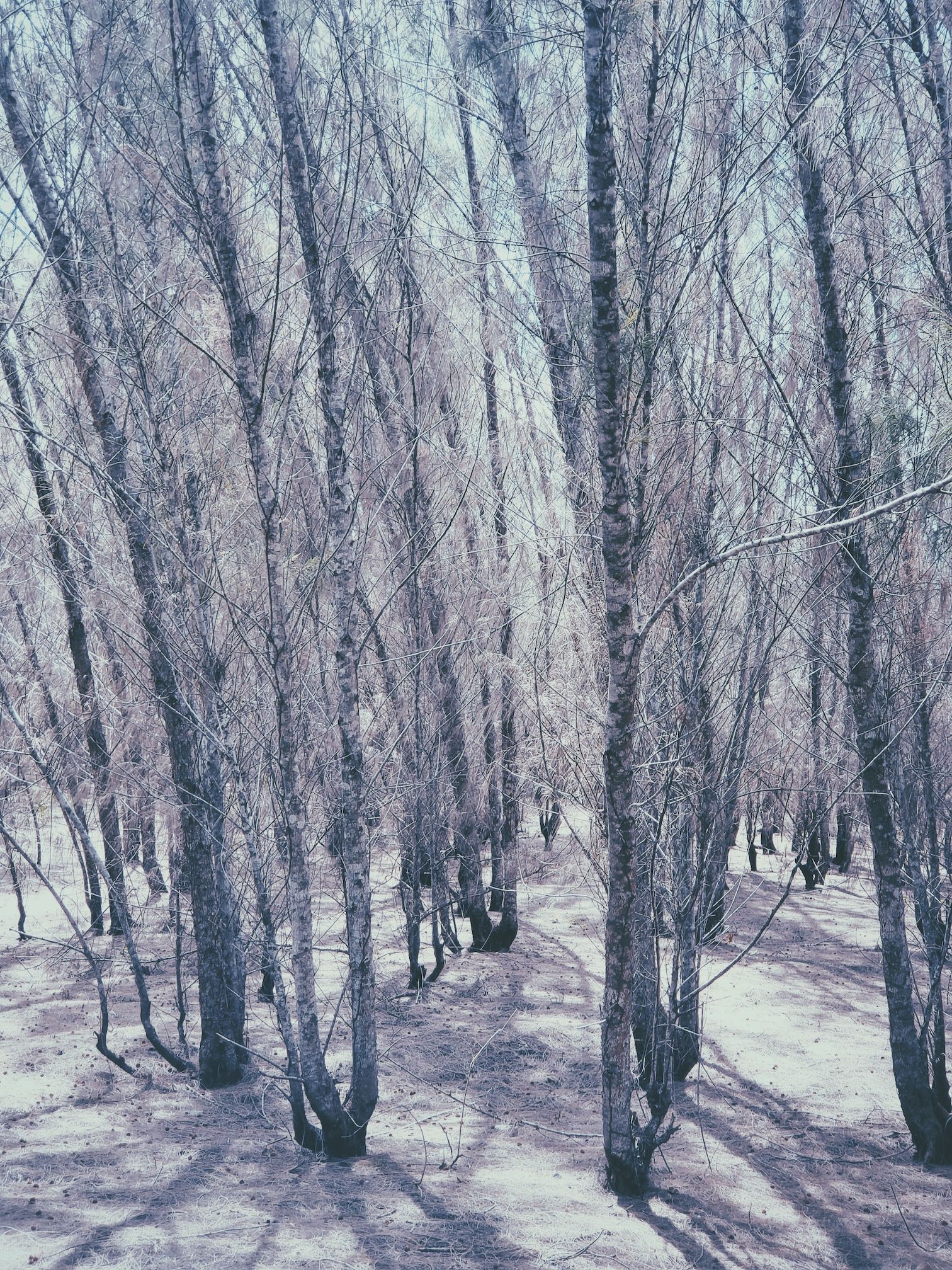 Eu passo o tempo todo com raiva