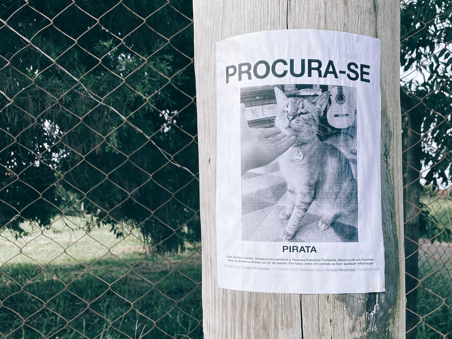 Depressão, autocompaixão e a roda das emoções