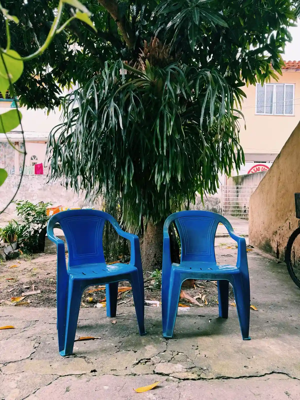duas cadeiras plásticas azuis na frente de uma arvore com folhas verdes fazendo referência a capa do album DtMF