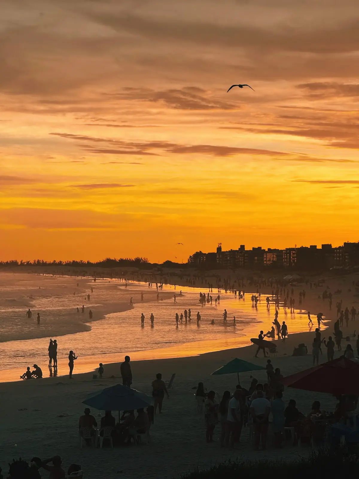 Pôr do sol dourado em praia brasileira com dezenas de pessoas na areia e na água, guarda-sóis coloridos em primeiro plano, prédios ao fundo e um pássaro voando no céu alaranjado